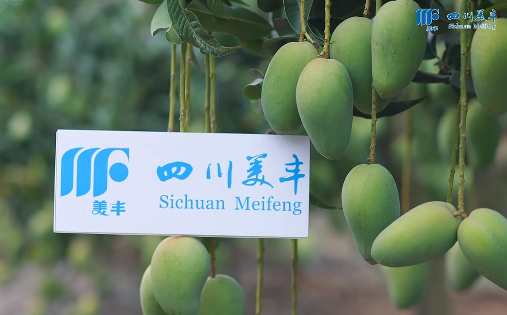 南方农村报：​Z6·尊龙凯时系列新品热销海南，让品质提升更轻松